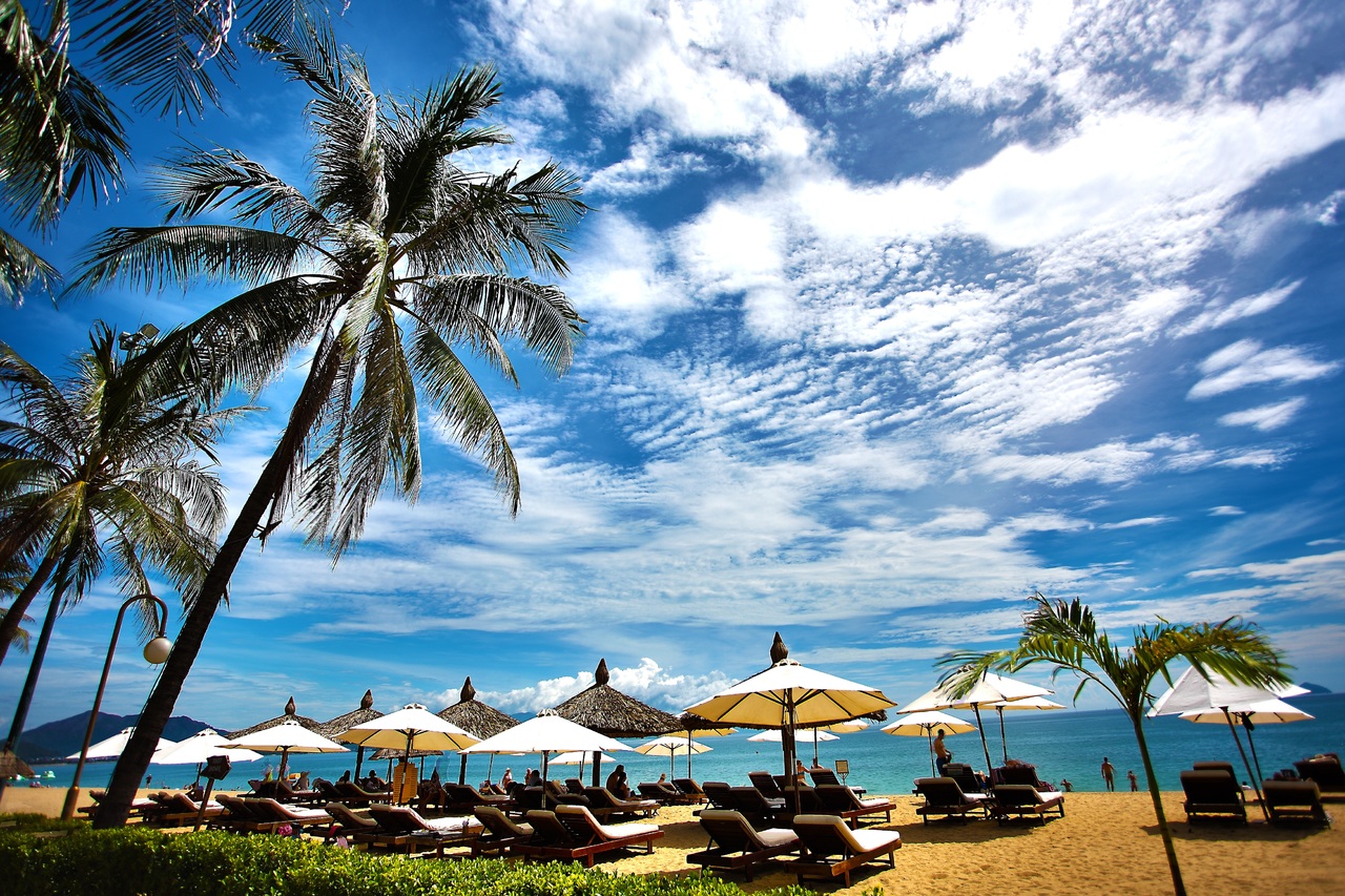 La imagen muestra una playa de dia con palmeras
