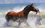 caballo