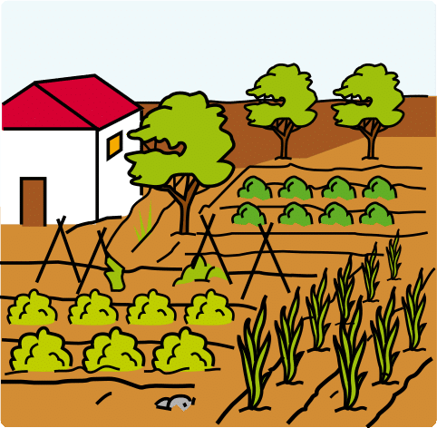 imagen en la cual se aprecia una casa blanca con tejado rojo a la derecha rodeada de cultivos de diferente tipo y tres árboles al fondo