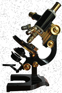 Microscopio
