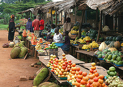 african market