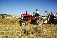 Sector primario: agricultura
