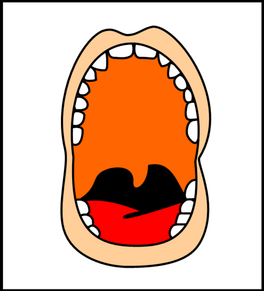 Mouth