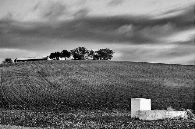 paisaje en blanco y negro