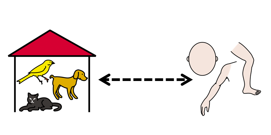 La imagen muestra una casa con un perro, un pájaro y un gato en el lado izquierdo y diferentes partes del cuerpo en el extremo derecho. Los dos extremos están unidos por una flecha discontinua.
