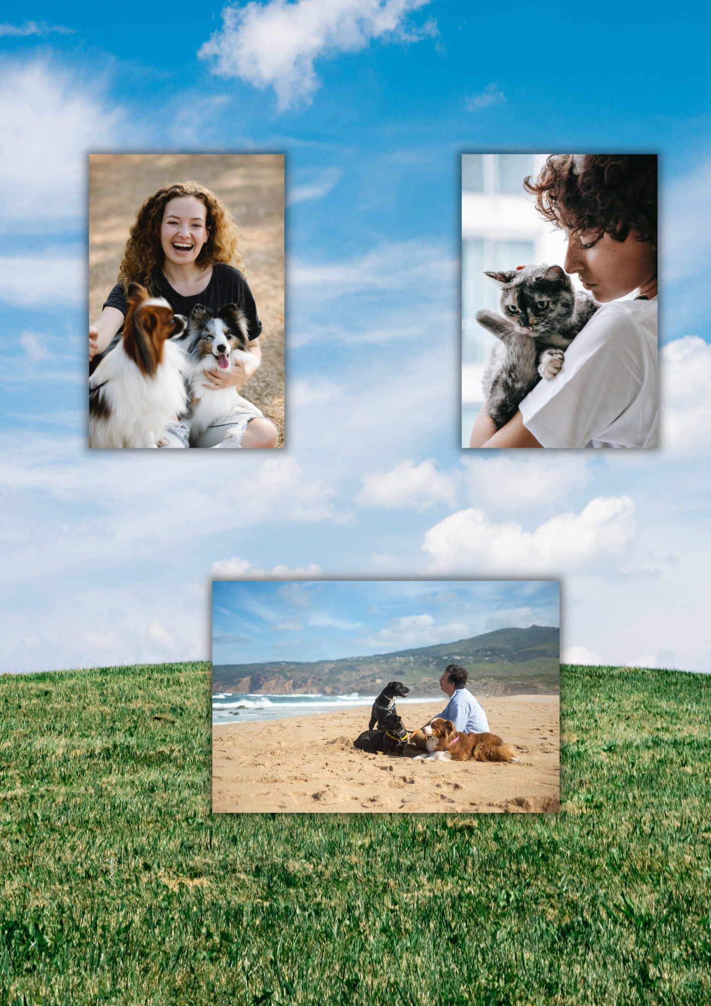 En la imagen aparece un paisaje de un prado y tres fotos, en la foto superior izquierda aparece una niña jugando con dos perros, en la foto superior derecha aparece una mujer abrazando a un gato, y en la foto inferior aparece un hombre en la playa con tres perros.