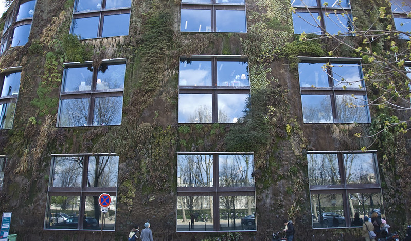La imagen muestra un jardín vertical en una pared con ventanas.