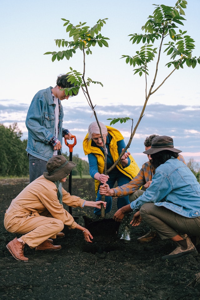 La imagen muestra a varias personas sembrando un árbol.