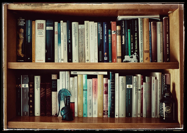 Imagen de baldas de una librería con novelas históricas