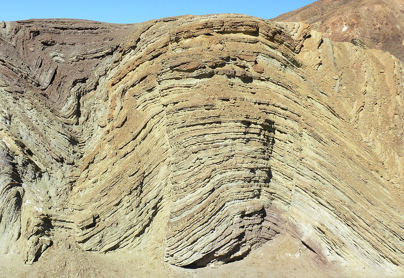 Anticlinal