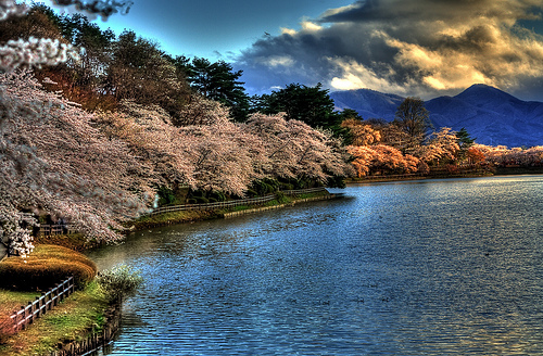 paisaje japones