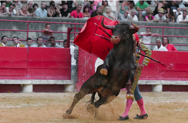La imagen muestra un torero y un toro en una plaza de toros