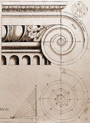 seccion columna seccion columna