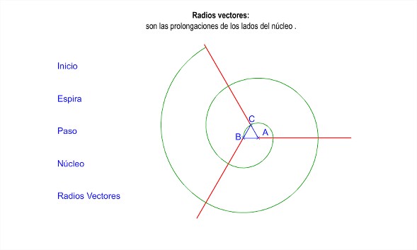 elementos espiral vector