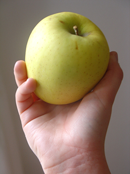 La imagen muestra una manzana