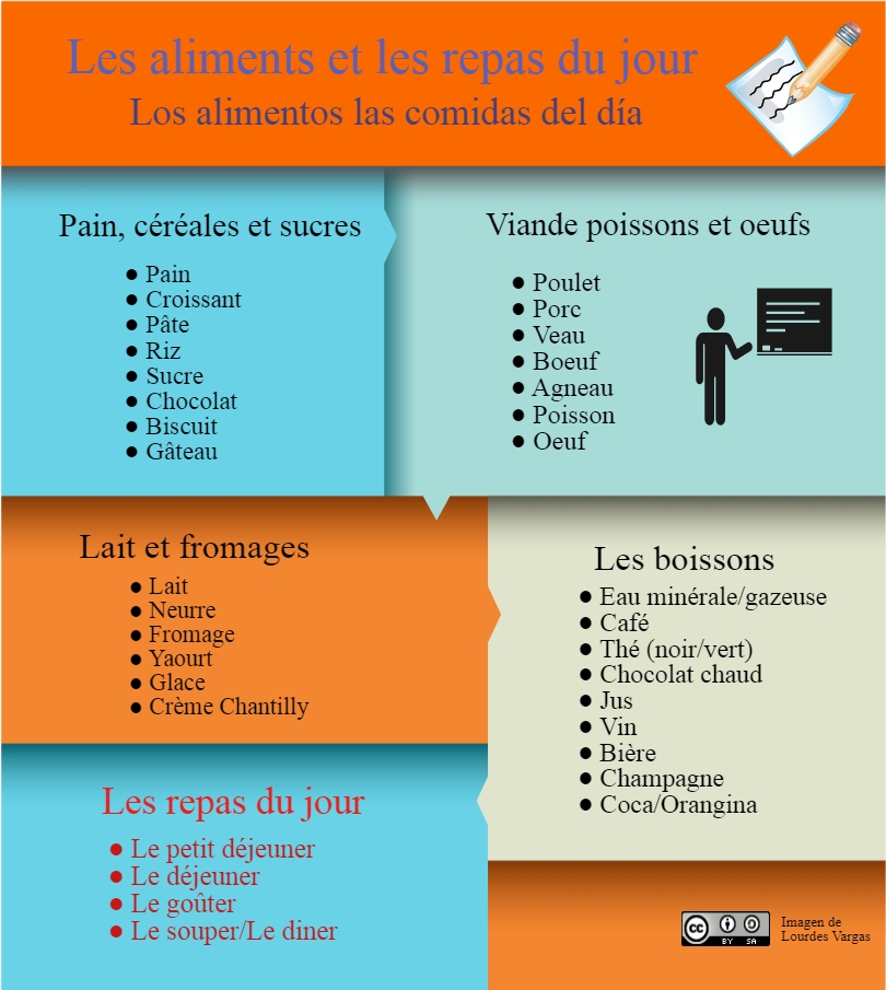 Alimentos y comidas del día