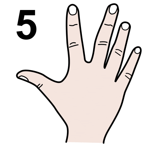 La imagen muestra una mano con cinco dedos.