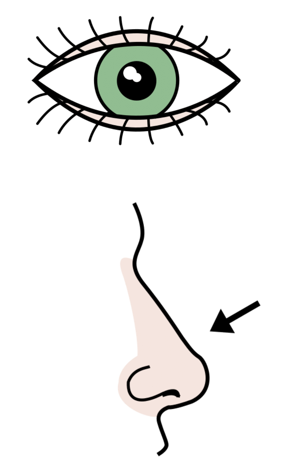 La imagen muestra el dibujo de un ojo y una nariz