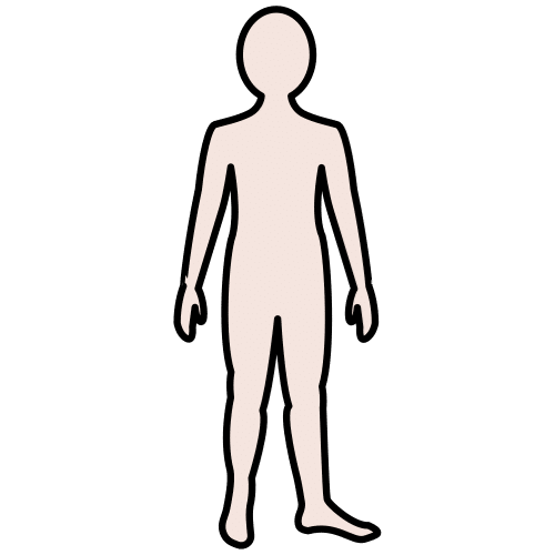 La imagen muestra un cuerpo humano