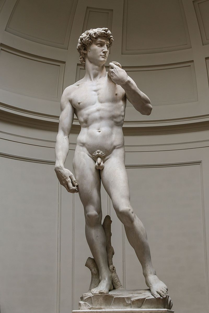 David, Miguel Ángel