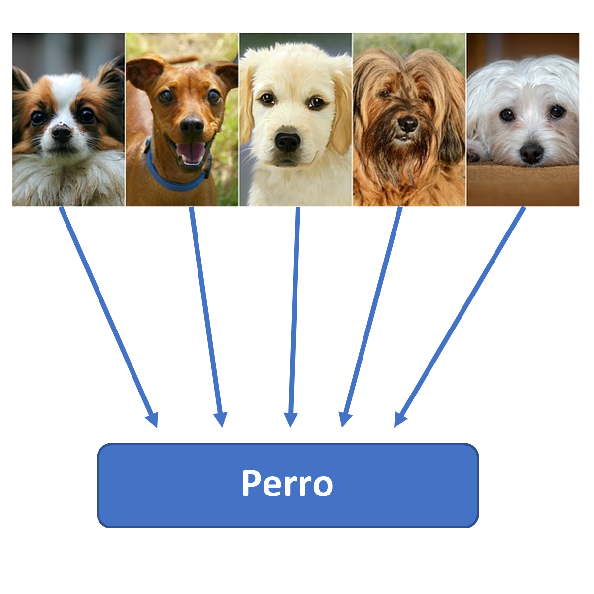Imagen de generalización de perros en el machine learning