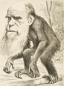 Imagen satírica de Darwin a finales del XIX