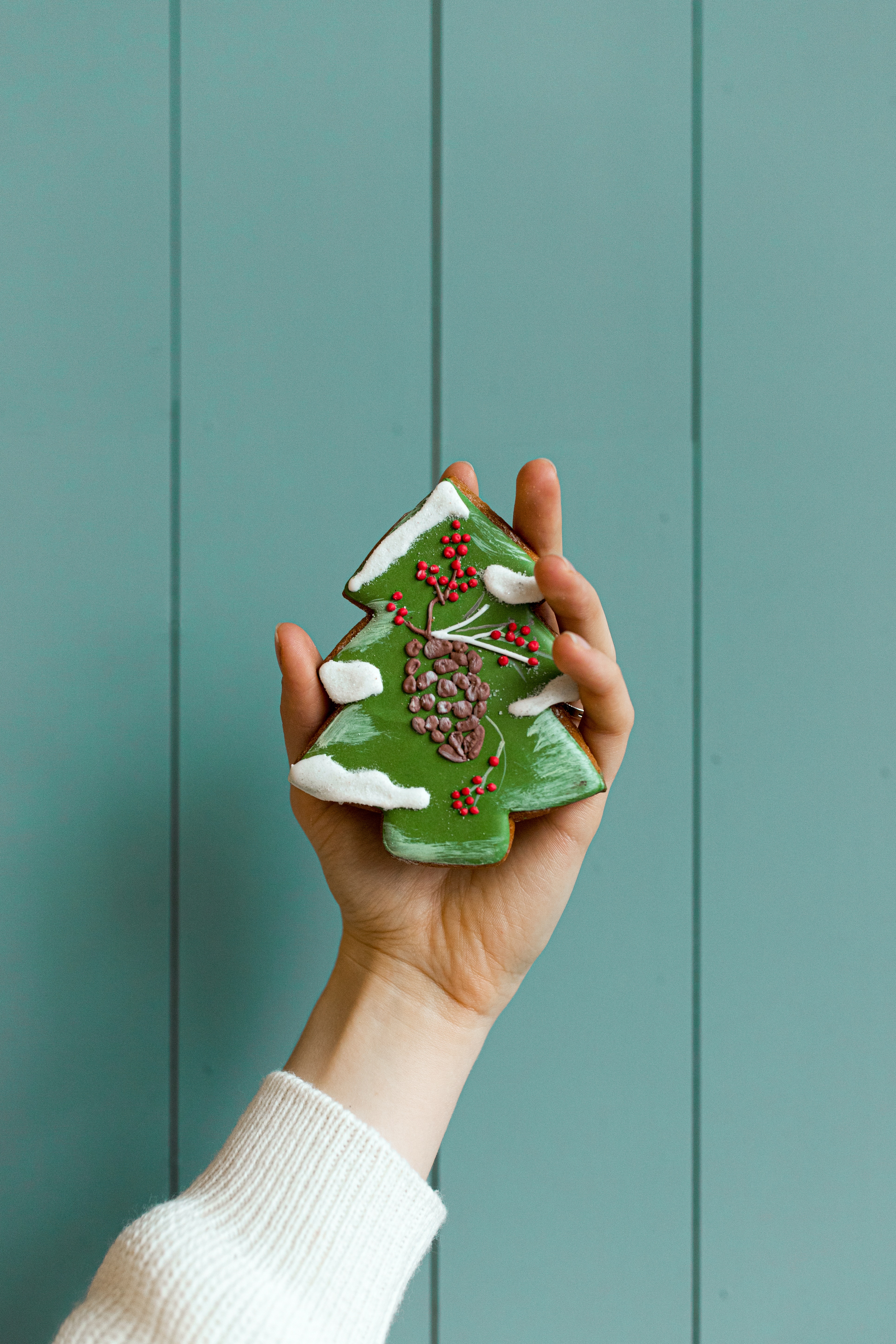 La imagen muestra una galleta con forma de árbol de Navidad.