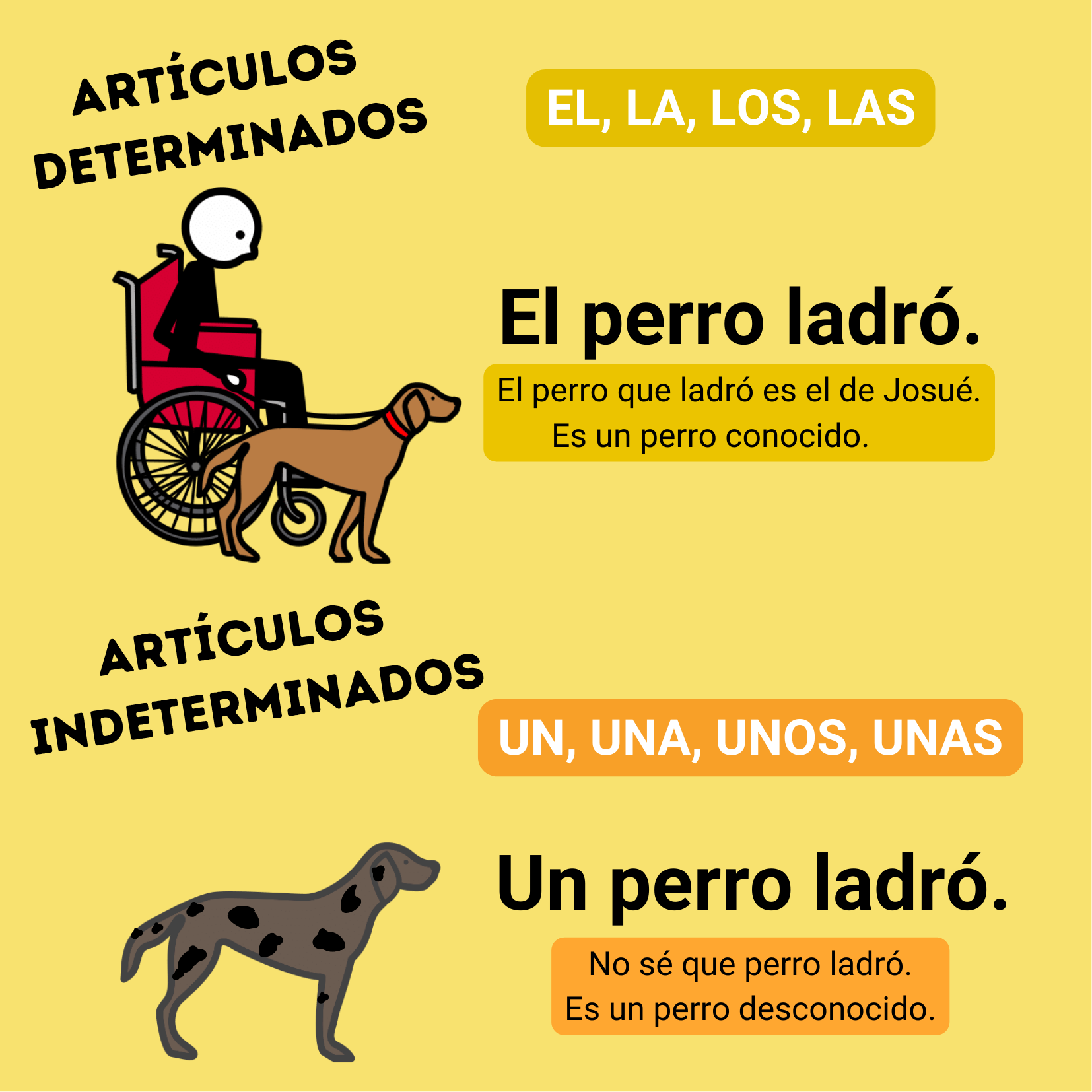 Artículos determinados: el, la, los, las.