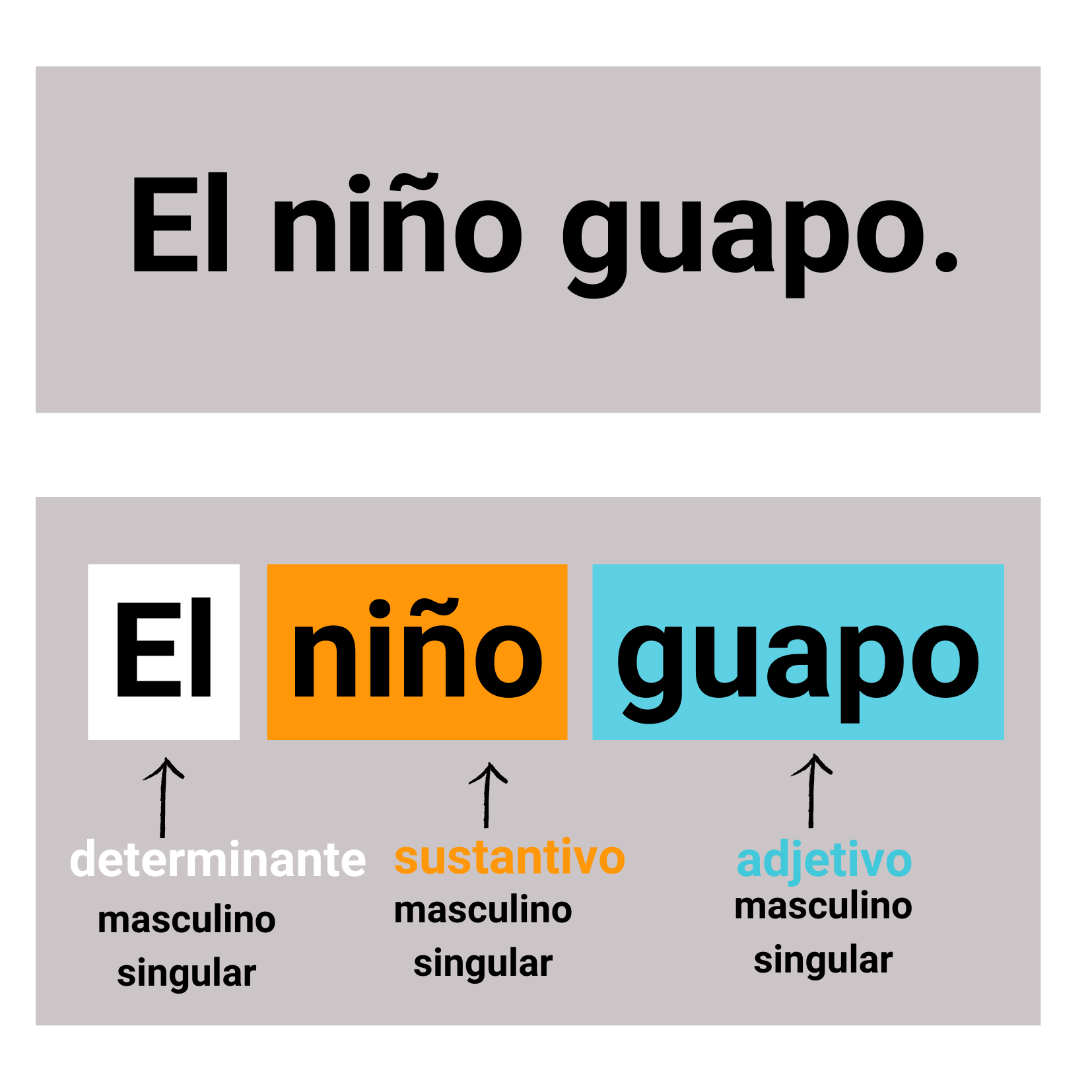 El: determinante; niño: nombre; guapo:adjetivo.