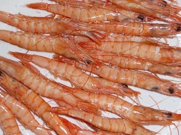 Gambas blancas cocidas.