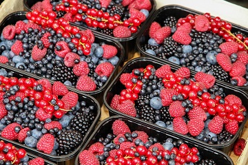 Bandejas con arándanos, moras, frambuesas y grosellas.