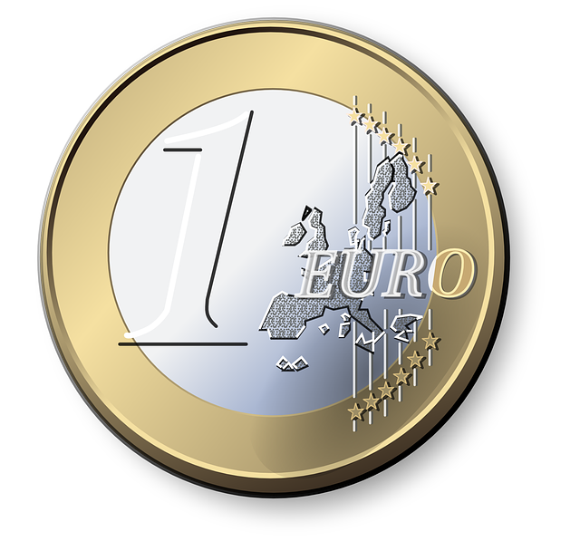 El euro es la moneda común de muchos países de la U.E.