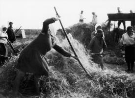 campesinos en un koljos