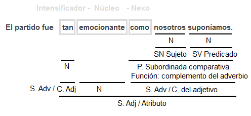 Intensificador, núcleo, nexo Intensificador, núcleo, nexo