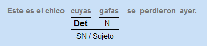 Determinante posesivo