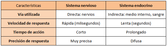 tabla de funciones del sistema endocrino