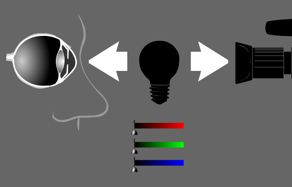 visión del color por el ojo humano