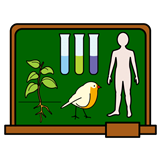 La imagen muestra una pizarra con una planta, un pájaro, unas probetas y un cuerpo humano.