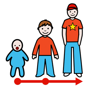La imagen muestra  a un bebé, un niño y un adolescente, con una flecha roja abajo hacia la derecha.