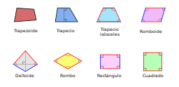 La imagen muestra distintos tipos de cuadriláteros. 