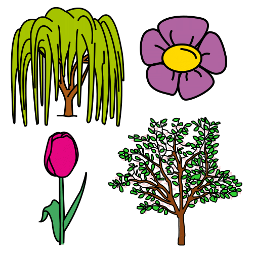 Dibujo de plantas y árboles.