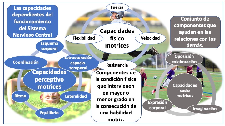 Desarrollo de las diferentes capacidades motrices dentro de la Educación física de base.