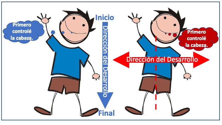 Principio de direccionalidad de la teoría de la maduración de Gesell.