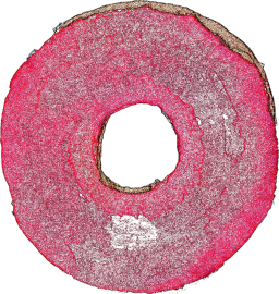 Imagen de un donut