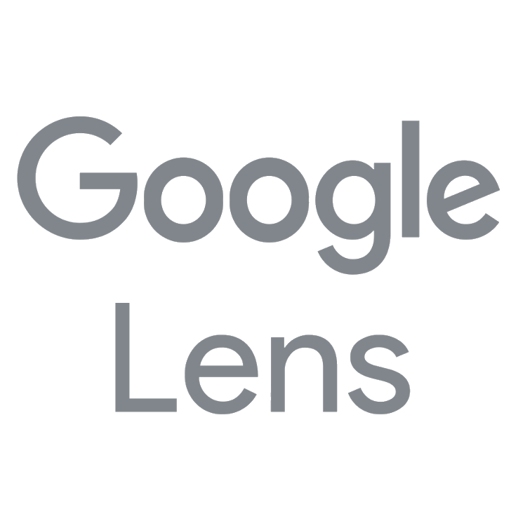 Imagen de la aplicación Google Lens