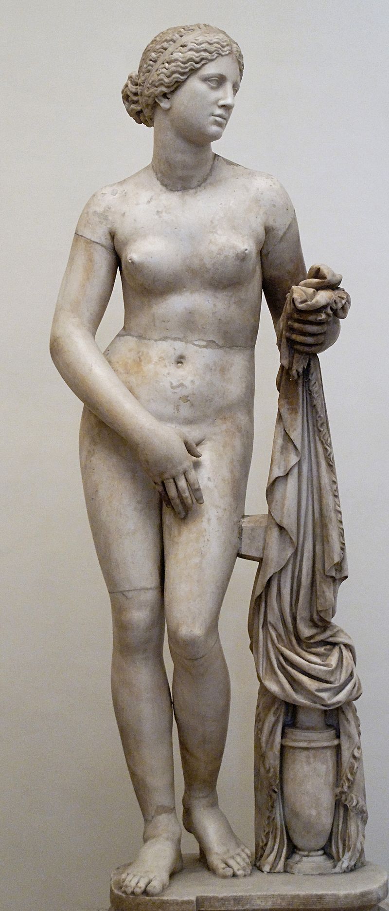 Venus Gnido