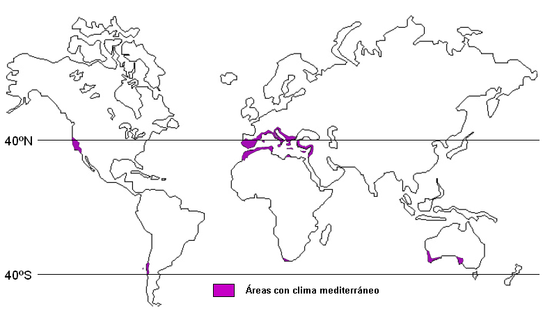 Áreas con clima Mediterráneo en el mundo. Puedes comprobar cómo dicho clima no solo se da en las regiones propiamente Mediterráneas, sino también en otras latitudes.