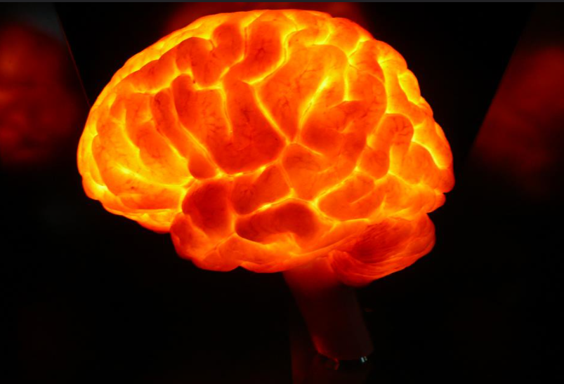 cerebro
