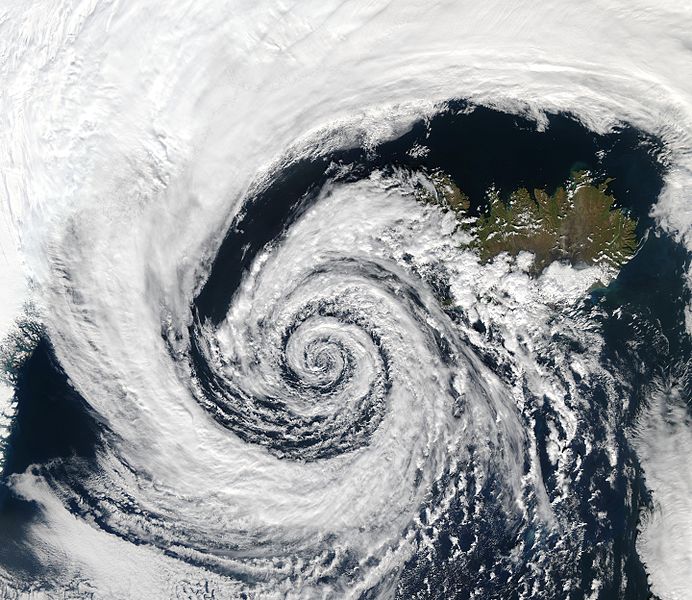 espiral logarítmica