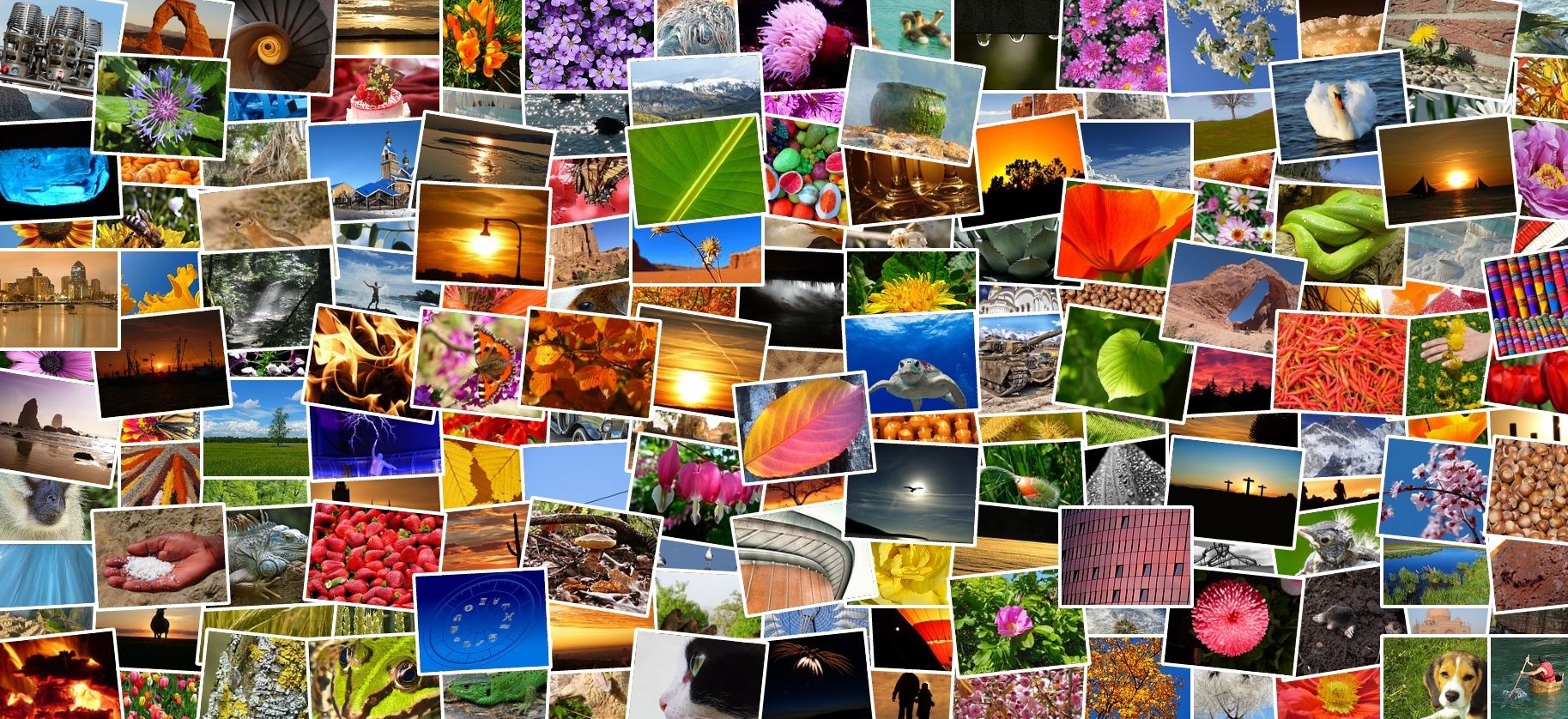 La imagen muestra un mural realizado con muchas fotografías superpuestas